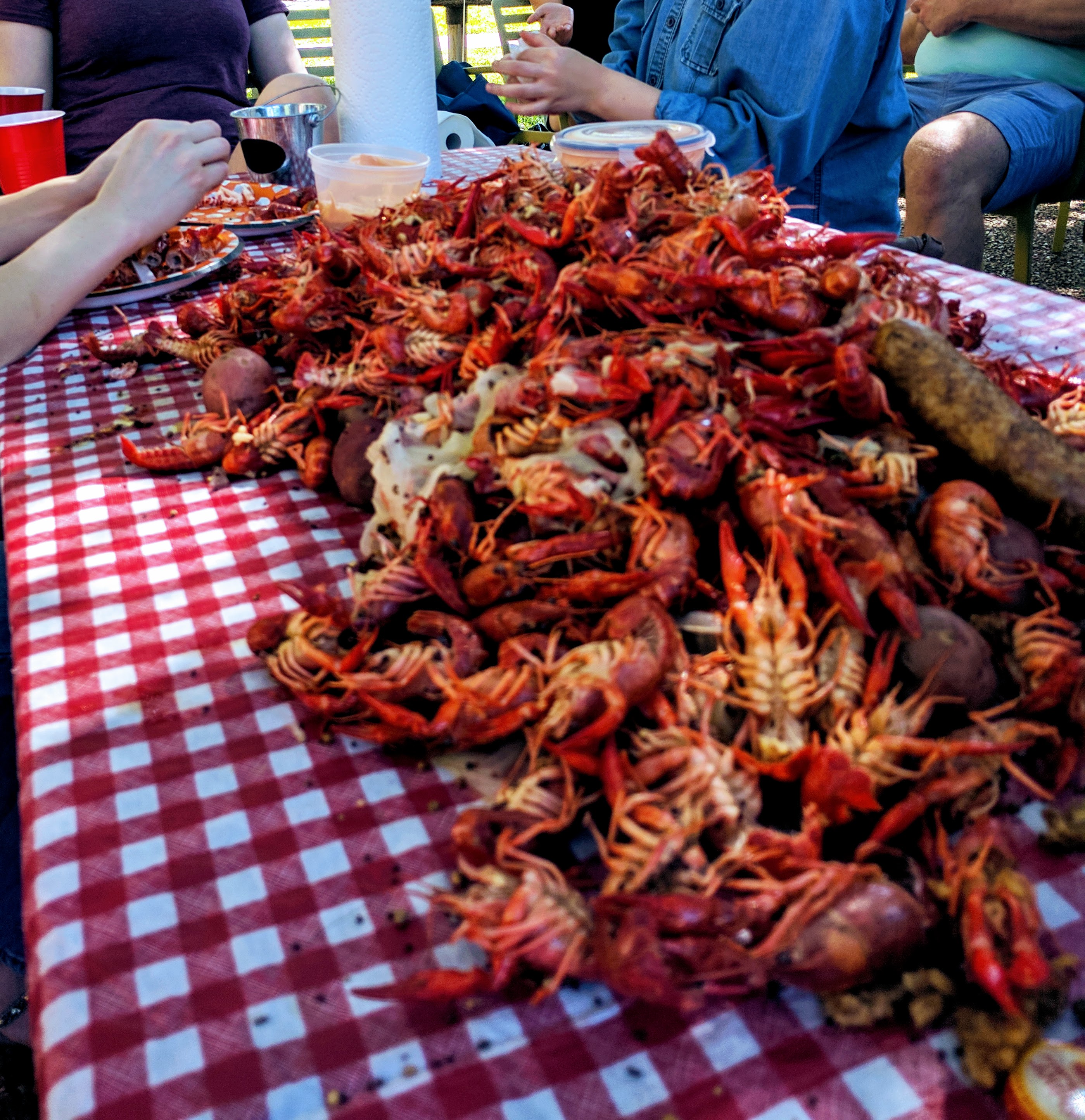 Picnic table of boiled crawfish